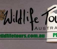 Clear Die Cut Sticker